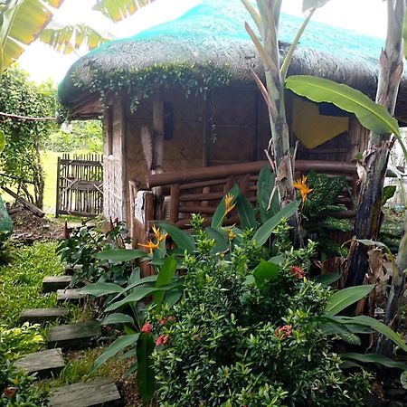 Dupas Luce Love Lodges Talipan Exterior foto