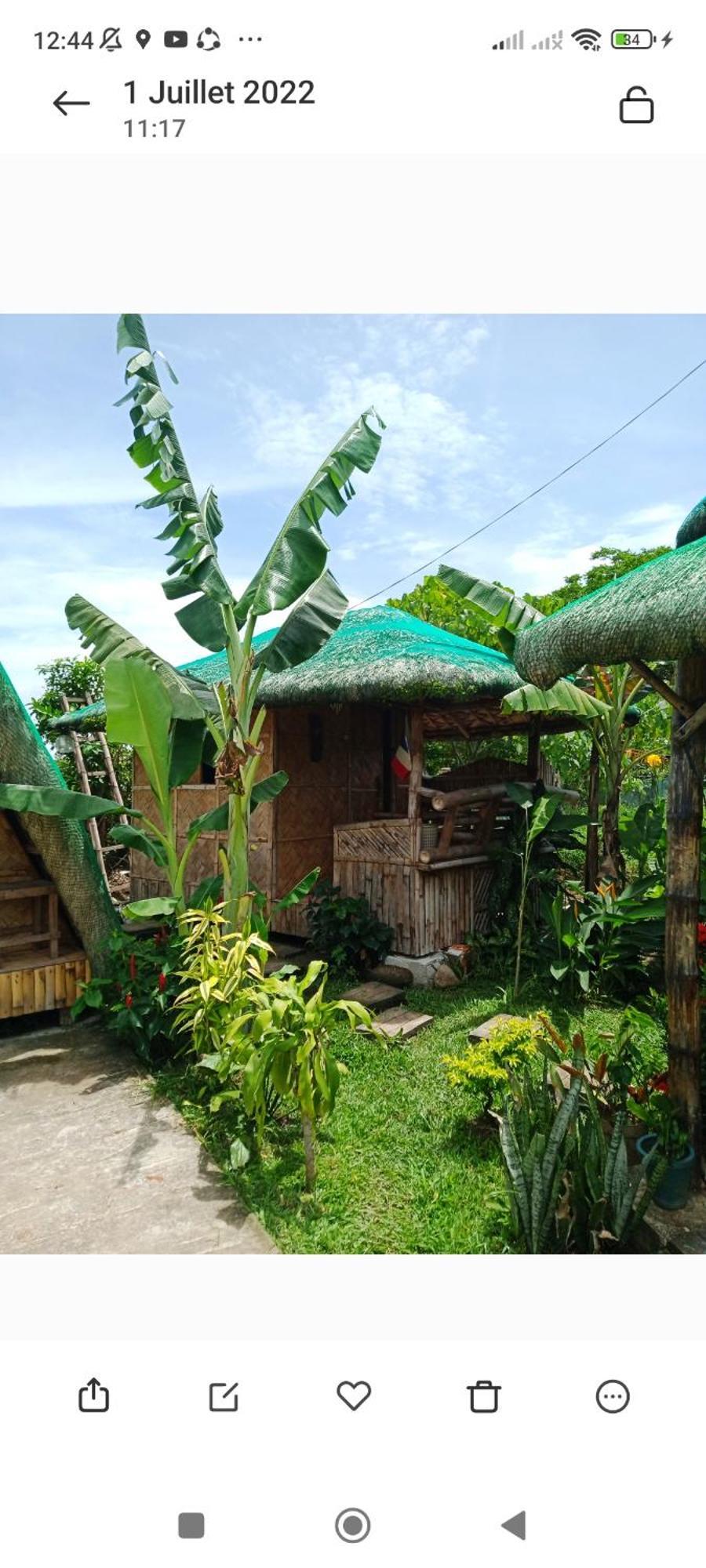Dupas Luce Love Lodges Talipan Exterior foto